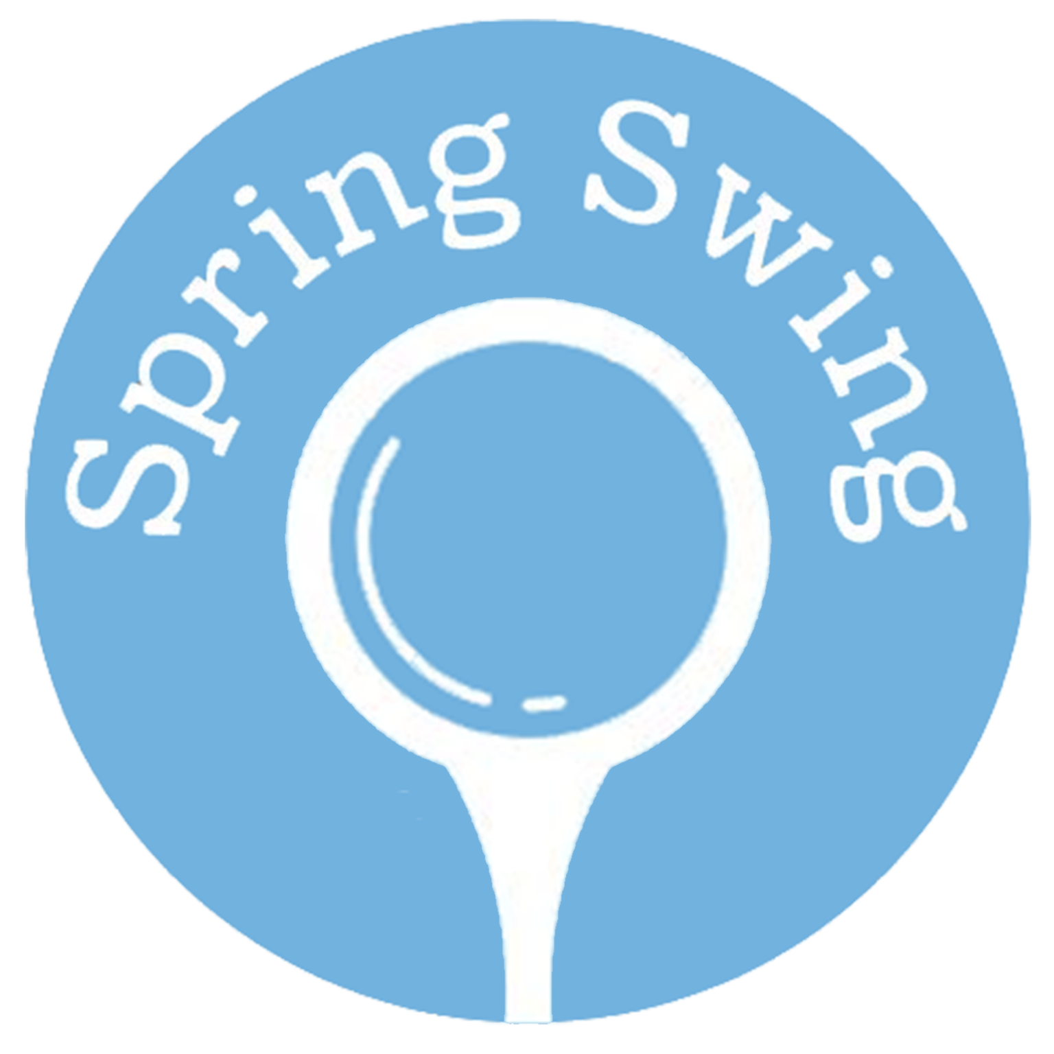 Spring Swing HARTZ Physical Therapy